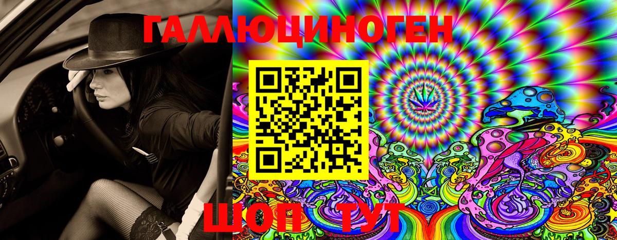 магазин продажи наркотиков  Вход с VPN  Бор  Псилоцибиновые грибы GOLDEN TEACHER  Галлюциногенные грибы Magic Shrooms 
